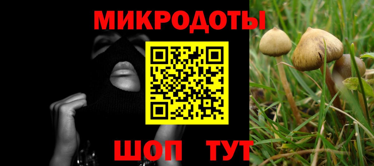 Галлюциногенные грибы мицелий  где можно купить наркотик  Сызрань  Галлюциногенные грибы мицелий  Вход с VPN 